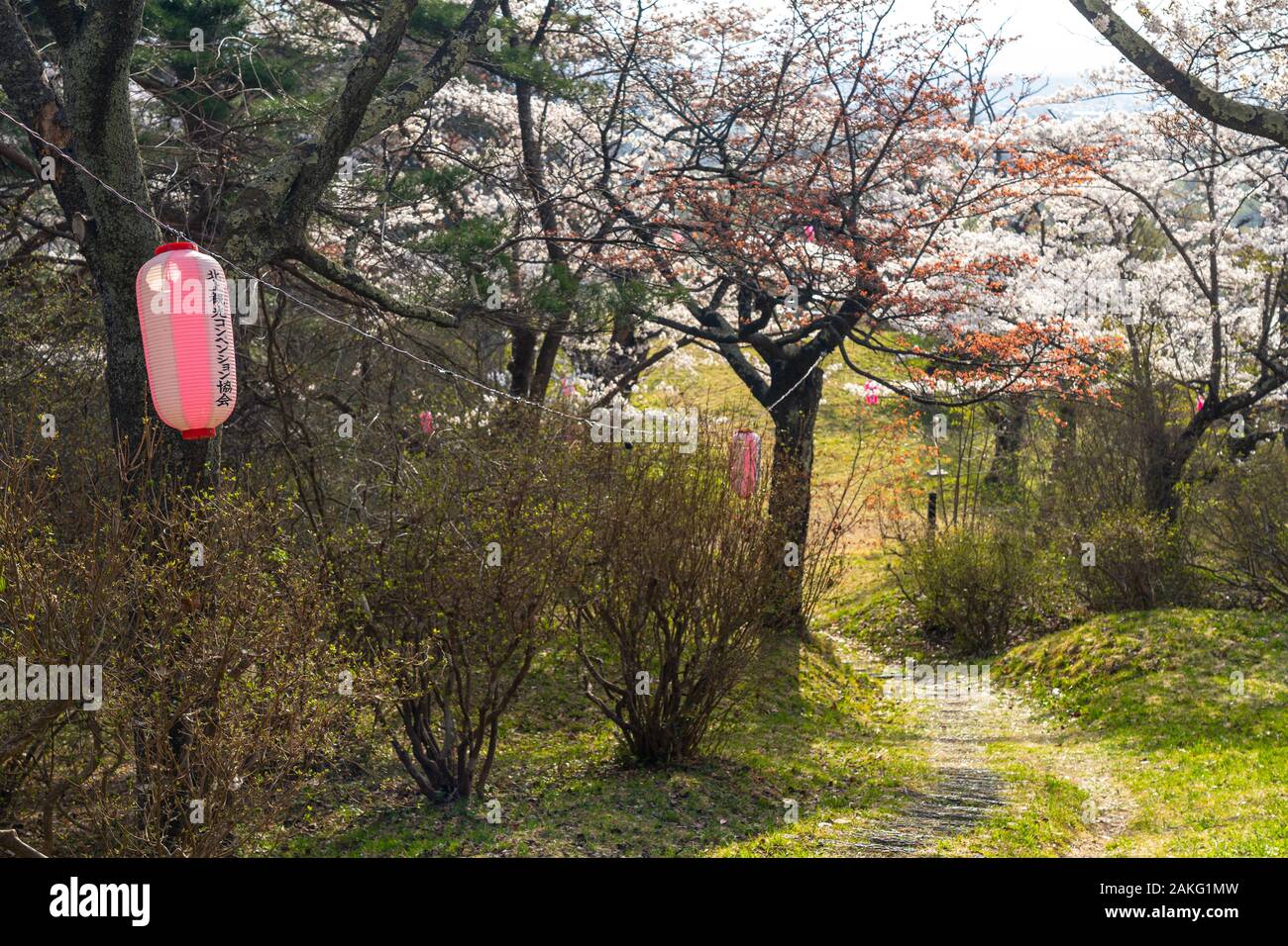 Michinoku Folklore Dorf im Frühling Saison sonnigen Tag. Kitakami Tenshochi Park Kirschblüten Matsuri fest. Kitakami, Iwate Präfektur, Japan Stockfoto