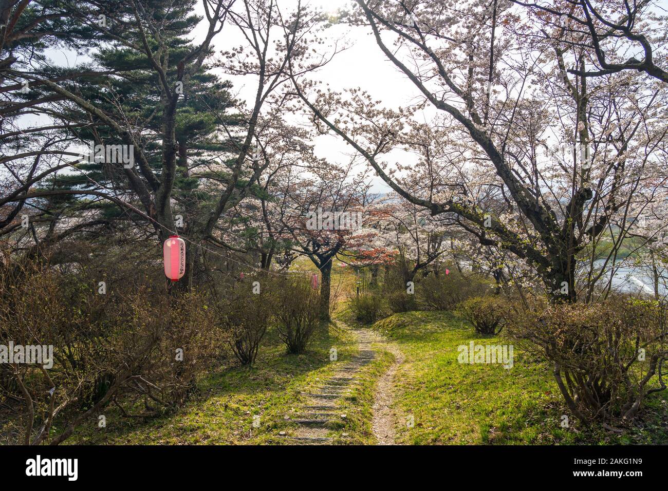 Michinoku Folklore Dorf im Frühling Saison sonnigen Tag. Kitakami Tenshochi Park Kirschblüten Matsuri fest. Kitakami, Iwate Präfektur, Japan Stockfoto