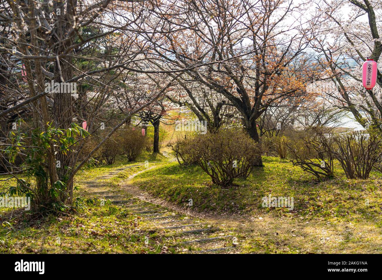Michinoku Folklore Dorf im Frühling Saison sonnigen Tag. Kitakami Tenshochi Park Kirschblüten Matsuri fest. Kitakami, Iwate Präfektur, Japan Stockfoto