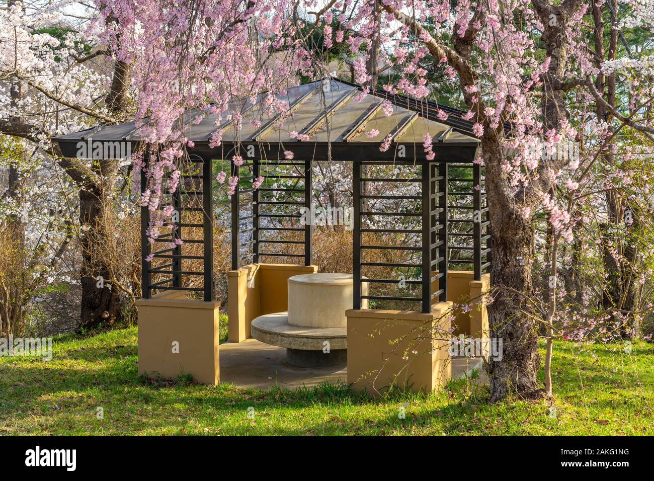 Michinoku Folklore Dorf im Frühling Saison sonnigen Tag. Kitakami Tenshochi Park Kirschblüten Matsuri fest. Kitakami, Iwate Präfektur, Japan Stockfoto