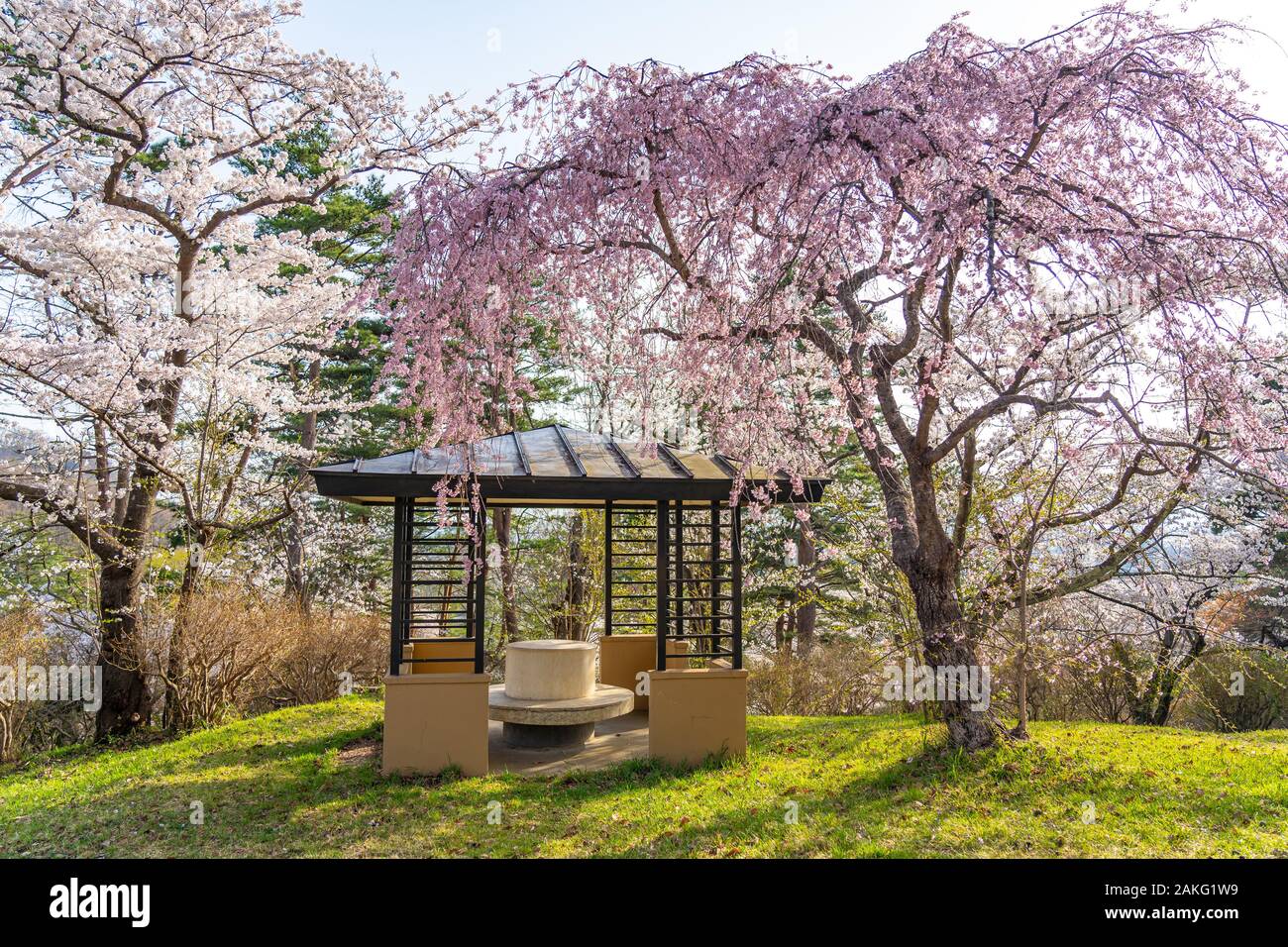 Michinoku Folklore Dorf im Frühling Saison sonnigen Tag. Kitakami Tenshochi Park Kirschblüten Matsuri fest. Kitakami, Iwate Präfektur, Japan Stockfoto