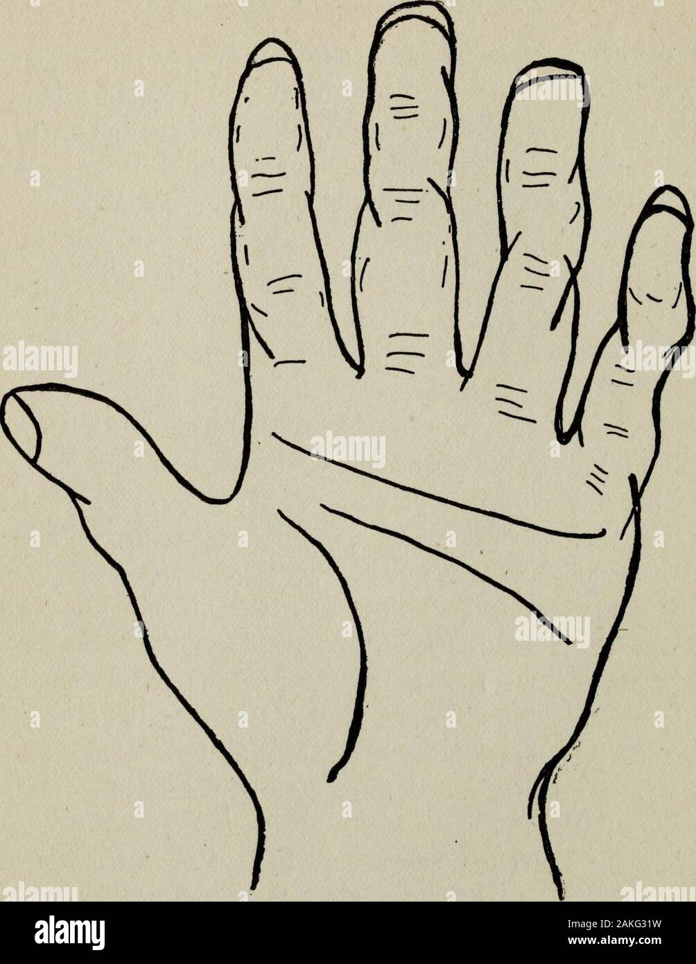 Perin der Wissenschaft der handlesekunst; eine vollständige und authentische Abhandlung. re brillante im Gespräch und sind Adepten in der Diplomatie. Sie sind alwiays etwas zu tun, wenn es sich um nothingmore als erfinden einige Plan phys-ical Arbeit zu tun. Sie nehmen das Leben leicht, während die Sametime, Sie eine wertvolle Anschaffung für die Gesellschaft. Asthey nie haben die Blues sie den Trübsinn fromall, mit denen Sie verbinden, wodurch das Leben, zumindest Foren Jahreszeit erträglich zu zerstreuen. Personen, die diese Runde-ed entwickelte Hand können sich leicht Anpassung an anypeople und sich ohne Mühe tonew con einstellen Stockfoto