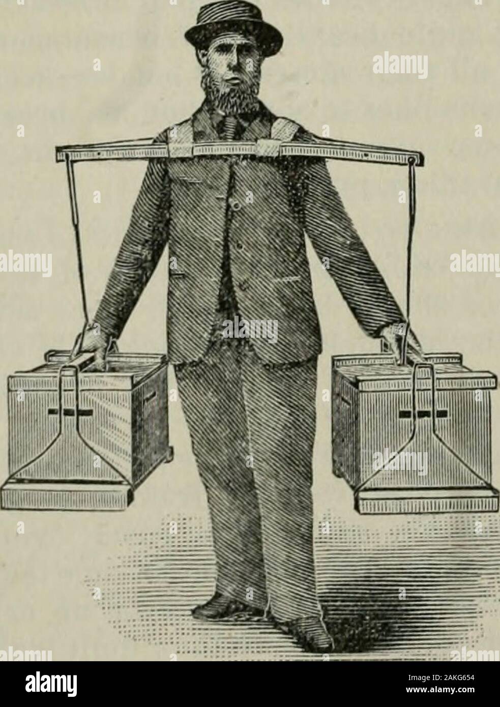 Das ABC der Biene Kultur: ein cyclopedia von jede Sache, die in Bezug auf die Pflege der Honig-Biene, Bienen, Honig, Nesselsucht, Arbeitsgeräte, Honig-Anlagen usw., Tatsachen von der Erfahrung von Tausenden von Imker alle über unser Land und später durch die praktische Arbeit in unserer eigenen Imkerei überprüft. Weise oder die BIENEN IN THECELLAR MIT HIVE-Carrier. Es ist zu beachten, dass unsere Hive - carriersare einfach ein paar Längen des Kabels bentin die Form eines Buchstaben V, eine ordinarywooden-pail Griff der Mitte der Draht throughto glitt. Beide Enden arebent, die in der dargestellten Form in den Schnitt im en Stockfoto