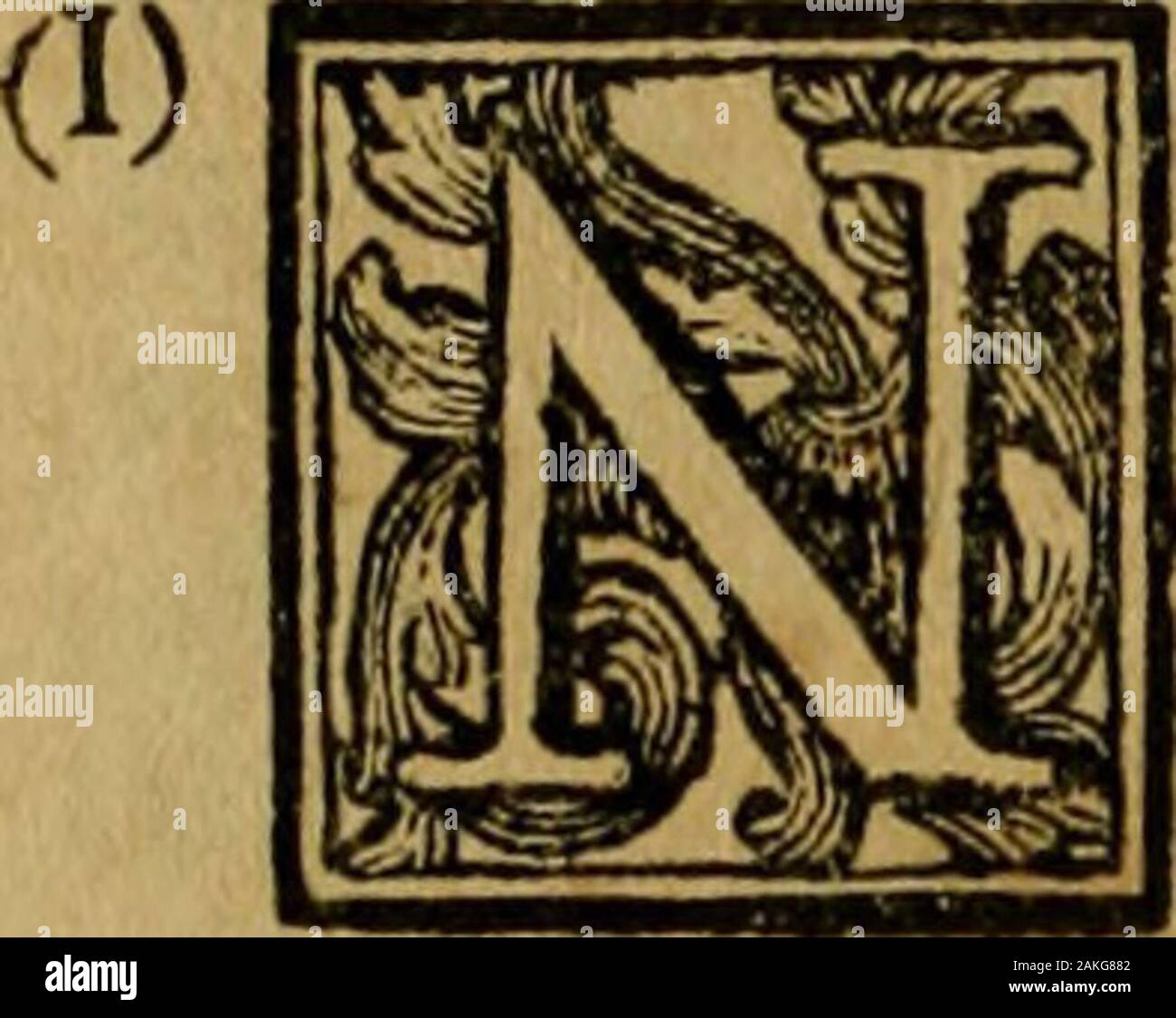 Saggio di Storia americana, o Sia, Storia Naturale, civile e Sacra, de Regni, e delle Provincie spagnuole Di Terra Ferma nell'America meridionale. Beachten Sie, dass E SCHIARIMENTI. ^^^. ", *&Gt;"=-. E PIÙ de Libri ci vieti dipinta in Manie-ra lAtìleriqijche fé ci fi dà lanimo Din-ghiottirci crudo Il racconto, fembri uneterna fioritiffima Primavera in ogni fuoluogo. Alberi nicht che biferi, e carichi triferi, di Dolci pomi continuamente; vegetabili nicht maimancanti di Fiori, Mai di Verdi amabili Foglie, nicht maidi Frutta. Oh Dio 1 E perchè affrettoffi tantoa Darle il fuonome Amerigo eine difpetto della ragi Stockfoto