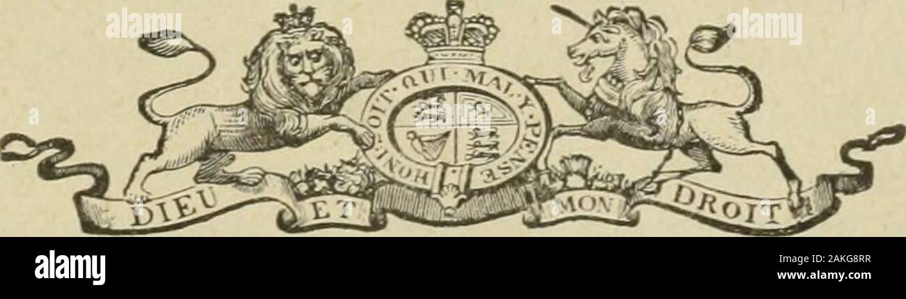 Ontario Sitzungsdiensten Papers, 1897, Nr. 34-35. n. A.-W. Ogilvie Joseph Phillips 31 Dezember, 1896 Oktober, 1896, 31. Dezember 1896. ronto Walter S. Lee. W. Barclay Stephens, Mo - Treal zum 31. Dezember 1896. Toronto Joseph Phillips 31 Dezember 1896 5 L.C. 65 ANHANG ZUM BERICHT DER ONTARIO BÜRO DER INDUSTRIE 1896. 1. Politische und soziale Arithmetik. (Eine Adresse vor der Politischen Wissenschaft Club der Universität Toronto,) von S. MoRLEY WiCKETT, Ph.D., (Leipzig), Felloiv in der politischen Wissenschaft an der Universität Toronto. 2. Das WACHSTUM DER KOMMUNALEN EINRICHTUNGEN IN ONTARIO. (Von der Ca nachgedruckt Stockfoto
