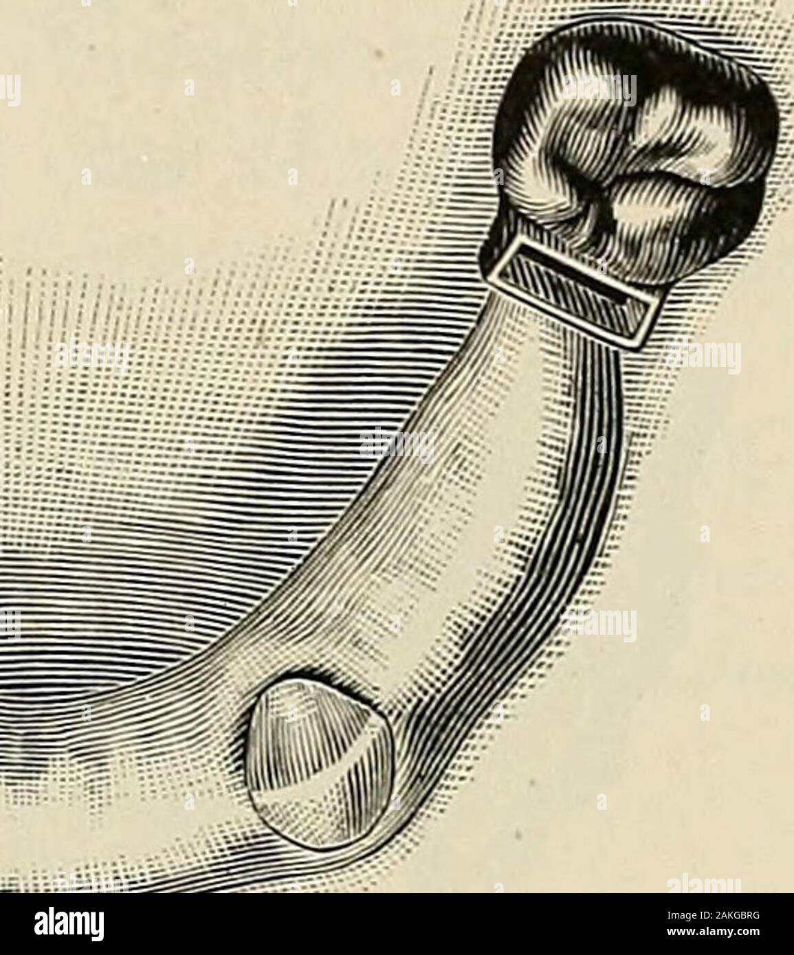 Eine praktische Abhandlung über mechanische Zahnheilkunde. Zu den Seiten der Kronen, und die Zungen schwer ward zu einem steifen Draht flexiblen Leitung anbringen, so daß die beiden Zungen aus theirsockets, ohne entweder die Zungen von der Leitung oder thesockets aus dem Kronen aufgehoben werden könnten. Wenn durch wiederholte Versuche dies könnte bedone, die Kronen und Buchsen wurden aus der Stimmen getroffen, in Abb. investiert. 633. Stockfoto