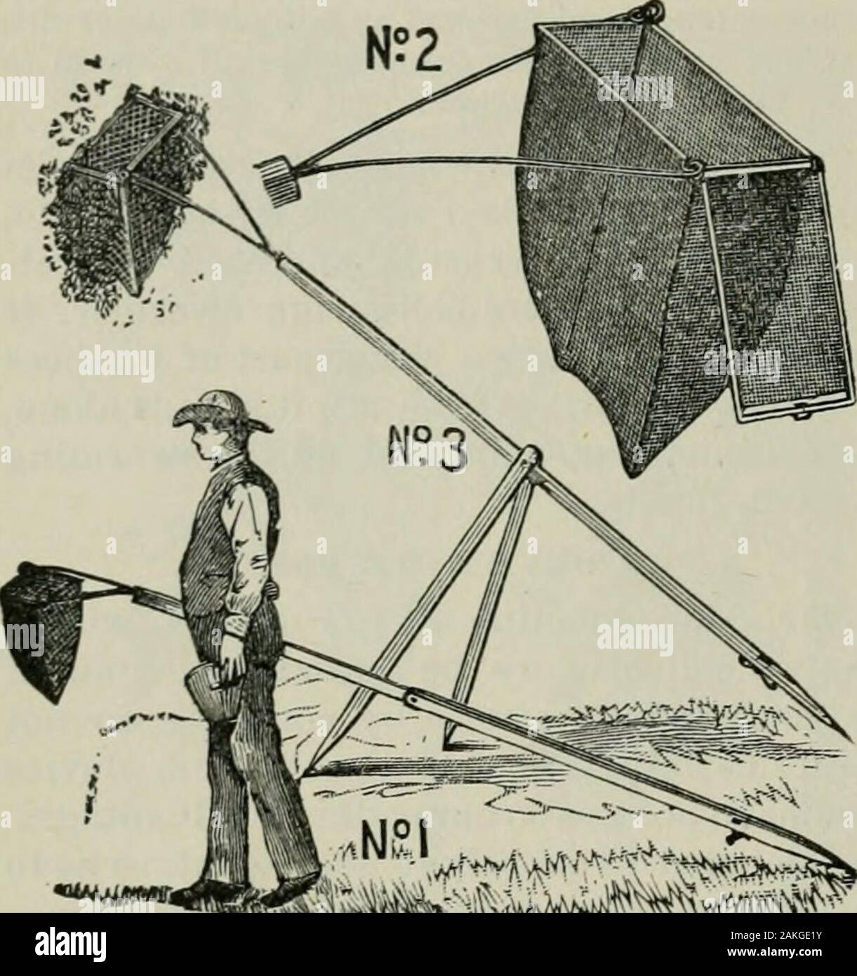 Das ABC der Biene Kultur: ein cyclopedia von jede Sache, die in Bezug auf die Pflege der Honig-Biene, Bienen, Honig, Nesselsucht, Arbeitsgeräte, Honig-Anlagen usw., Tatsachen von der Erfahrung von Tausenden von Imker alle über unser Land und später durch die praktische Arbeit in unserer eigenen Imkerei überprüft. shalf oder vollständig abgeschlossen, wir die basketu] ^ nach und um den Kegel der Bienen. Ein Assist-ant, wenn vorhanden, gibt der Lind) ein Glas, so dass todisengage die Bienen in den Korb. In caseno ist bereit zu helfen, eine gleitende Bewegung wird der Cluster in thewire precipittite - Tuch Käfig, wenn es schnell lowi - Rot. T Stockfoto