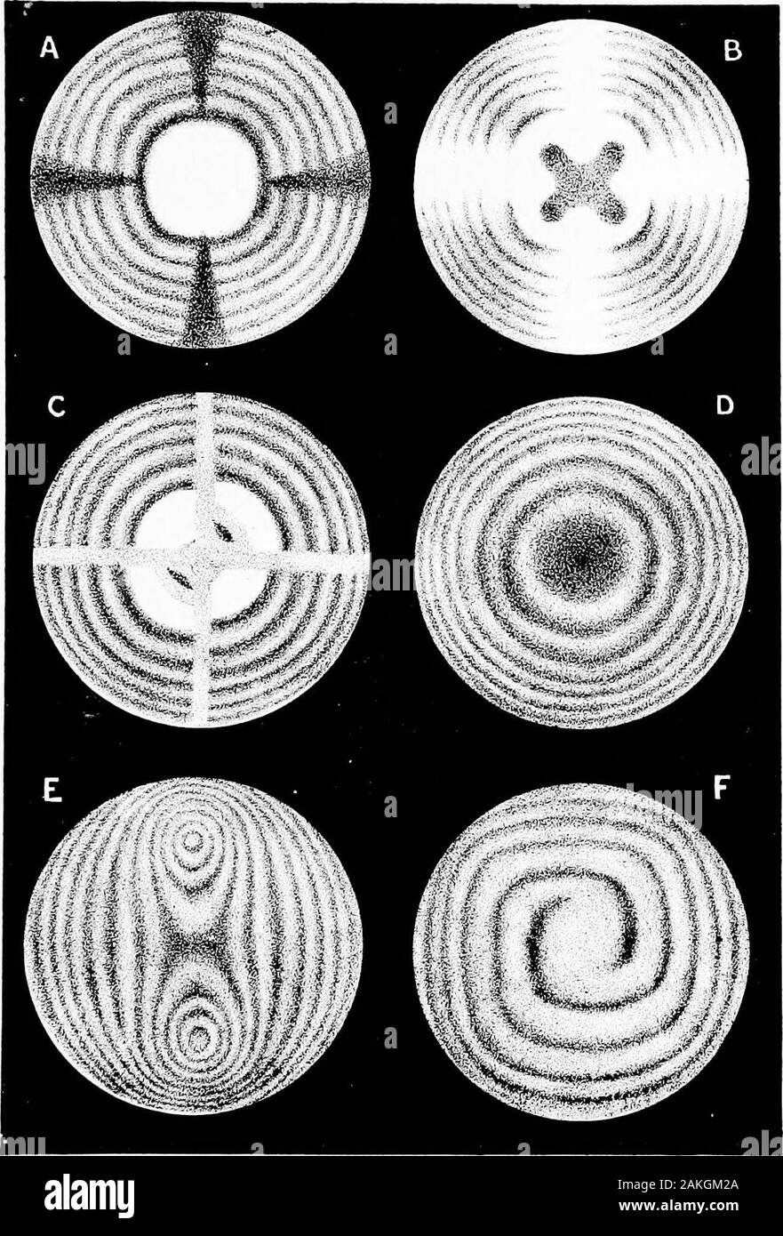 Licht; ein Kurs der experimentellen Optik, vor allem mit der Laterne. mens, durch Herrn Fuchs vorbereitet, whicli inrings sind so perfekt, und Bürsten, und Airys Spiralen, wie alle Quarze vielleicht sein könnte. 332 Licht. [CH. Xv. Solche Scheiben einzeln zeigen h) perbolas; aber wenn zwei solcher slicesare im rechten Winkel gekreuzt, die in convergentlight gerade Linien werden, genannt Savarts Bands, und eine solche Kombination ist ein sehr empfindlicher Test des polarisierten Lichts, das leastdegree der Polarisierung der Bands sichtbar zu machen. Slicesof calc-spar Split natürlich und überquerte die sameresults geben (E, Platte VI.). Alle diese Phänomene Stockfoto