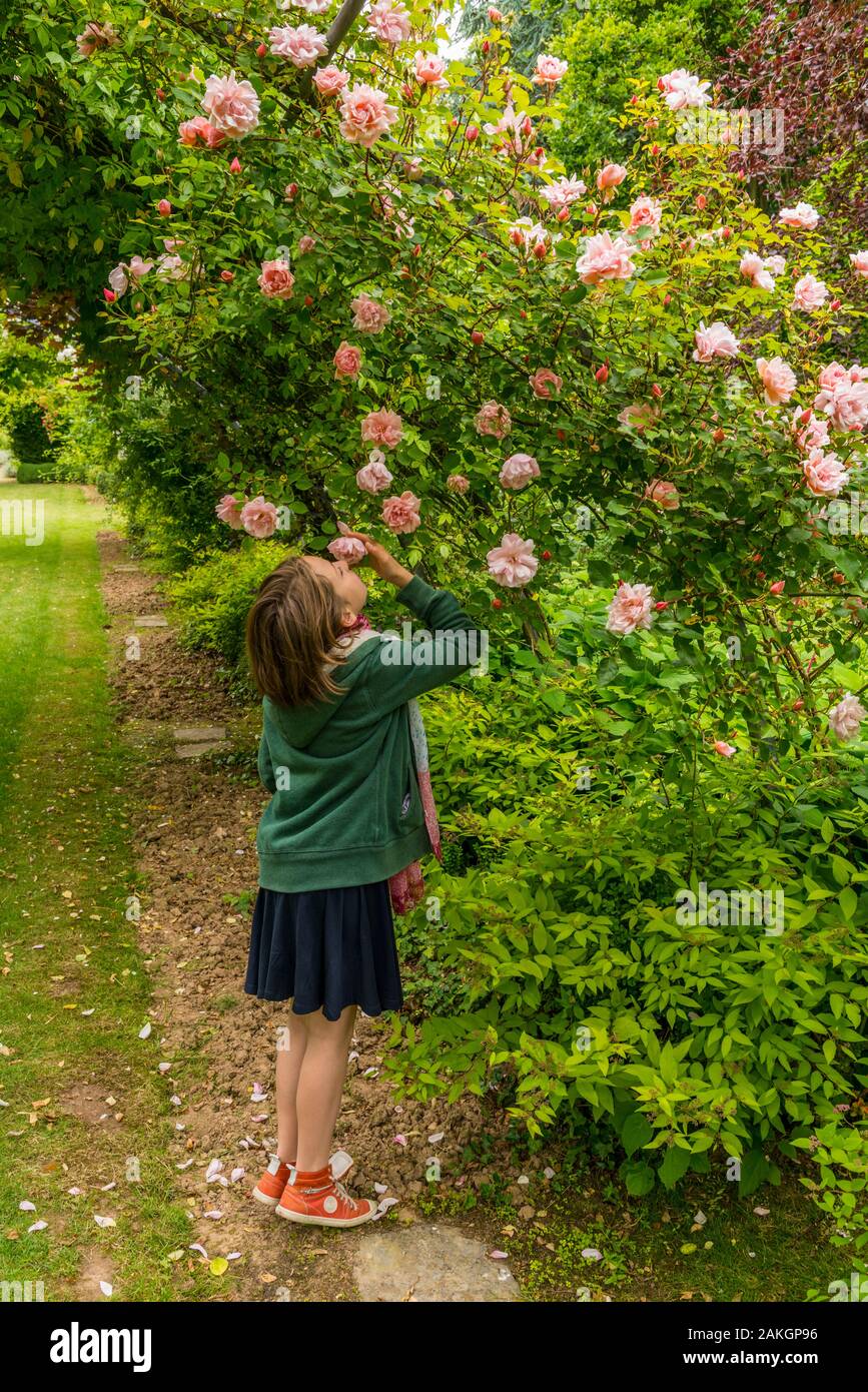 Frankreich, Nord-Pas-de-Calais", Séricourt, Les Jardins de Séricourt, Park von mehr als 4 Hektar anerkannt als einer der schönsten Gärten Frankreichs beschriftet Bemerkenswerter Garten durch das Ministerium für Kultur und der gewählten Garten des Jahres 2012 Stockfoto