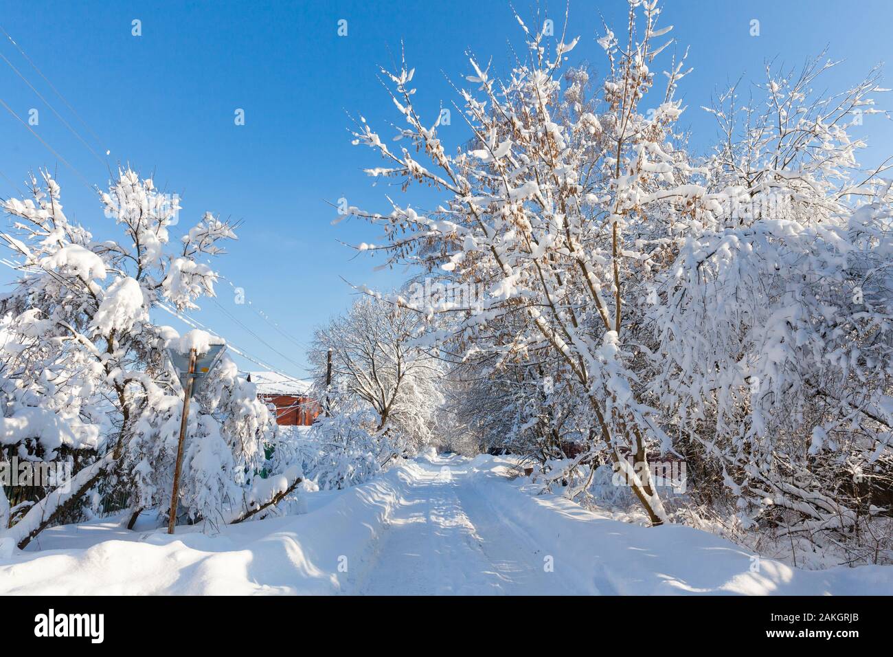 Winterlandschaft nach starkem Schneefall, Moskau, Russland Stockfoto