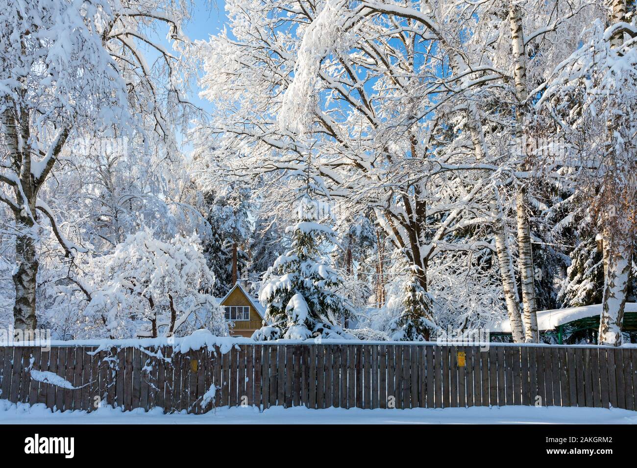 Winterlandschaft nach einem starken Schneefall an der Moskauer Oblast, Russland Stockfoto