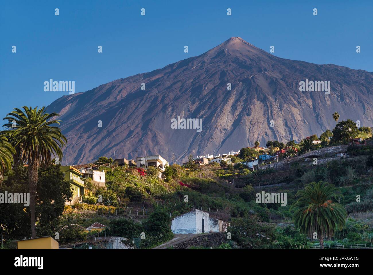 Spanien, Kanarische Inseln, Teneriffa, Icod de los Vinos, mit Blick auf den Teide Berg Stockfoto