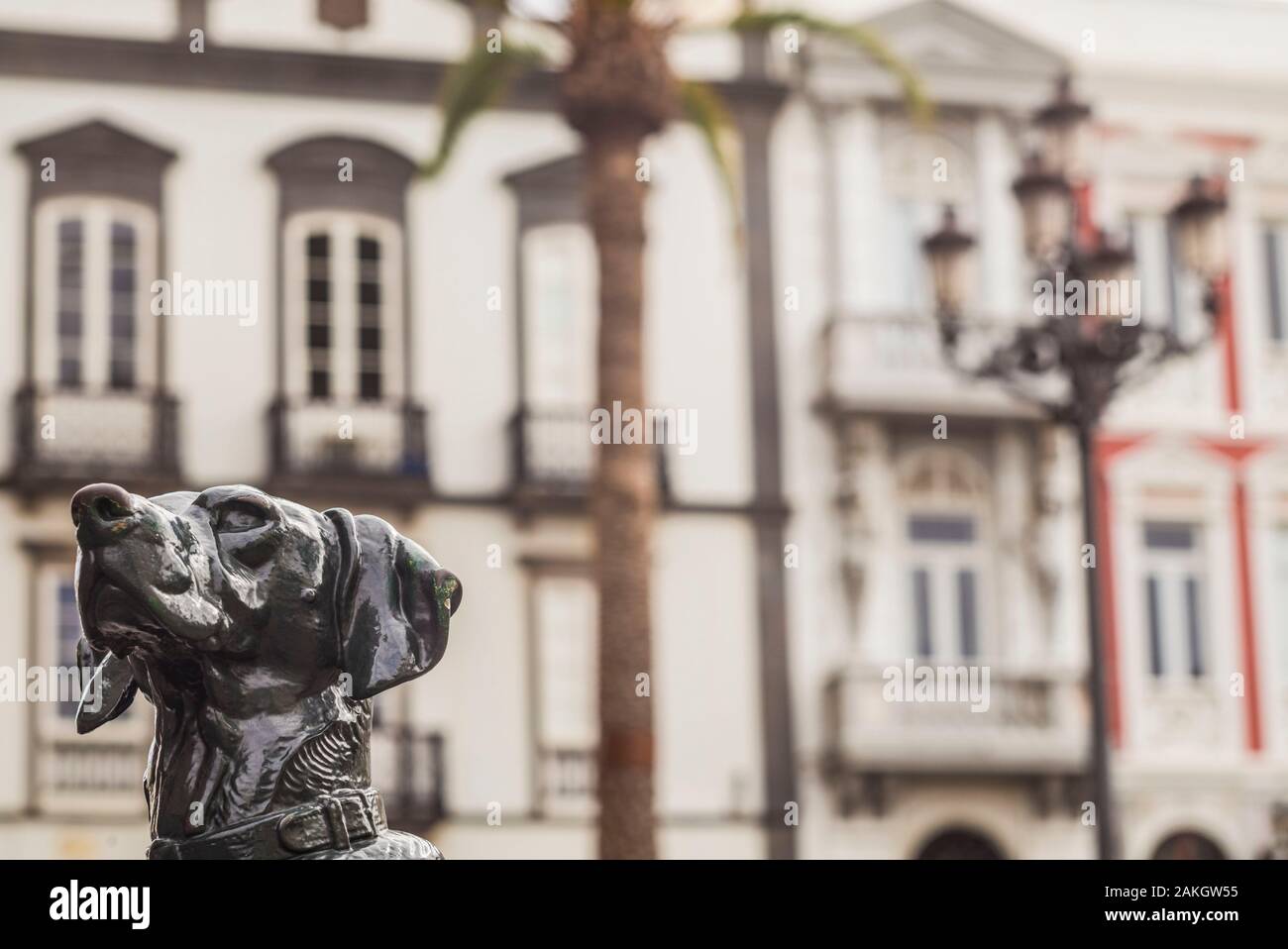 Spanien, Kanarische Inseln, Gran Canaria, Las Palmas de Gran Canaria, Plaza Santa Ana, Hund Skulpturen Stockfoto