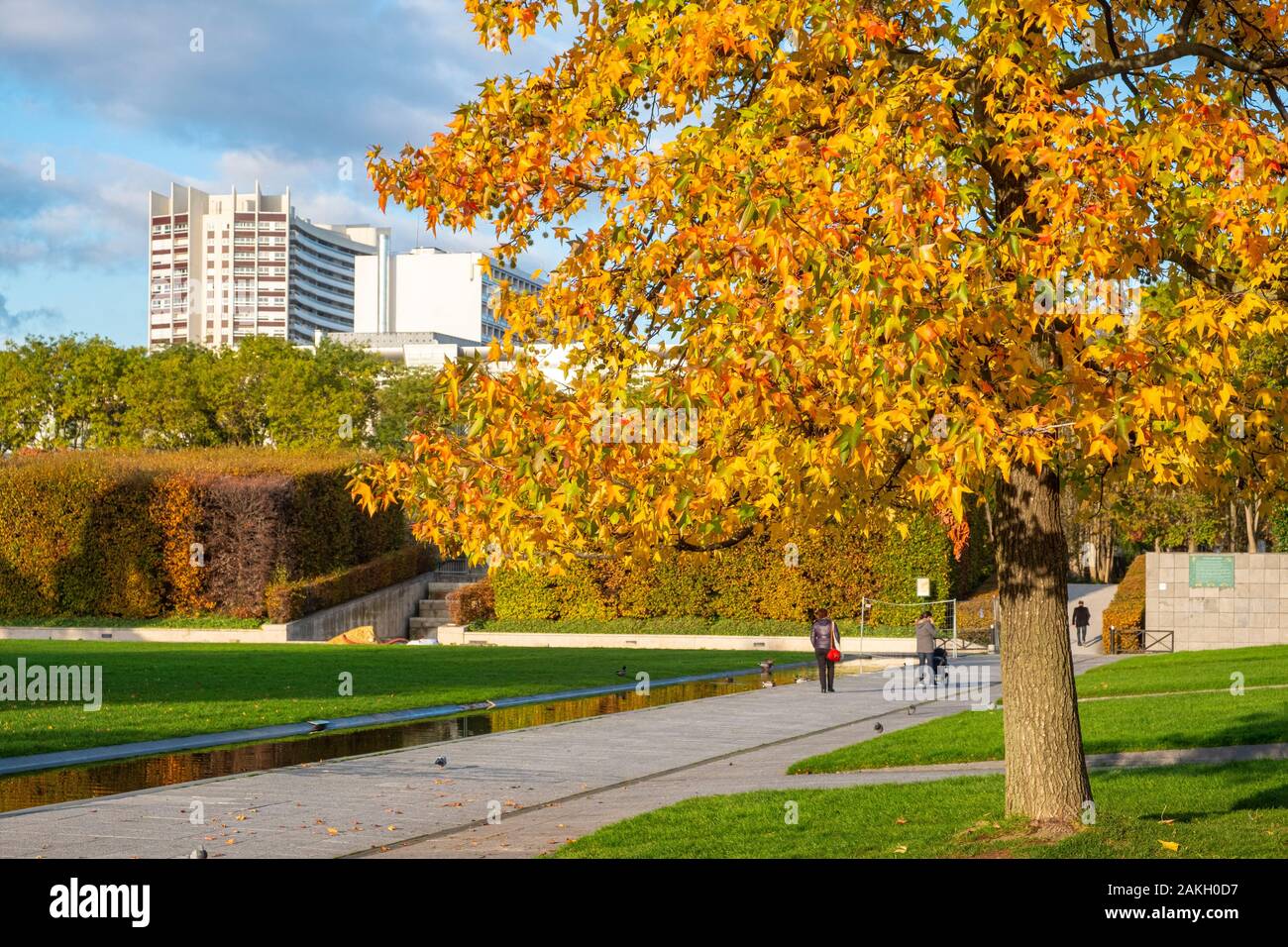 Frankreich, Paris, Andre Citroën Park im Herbst Stockfoto