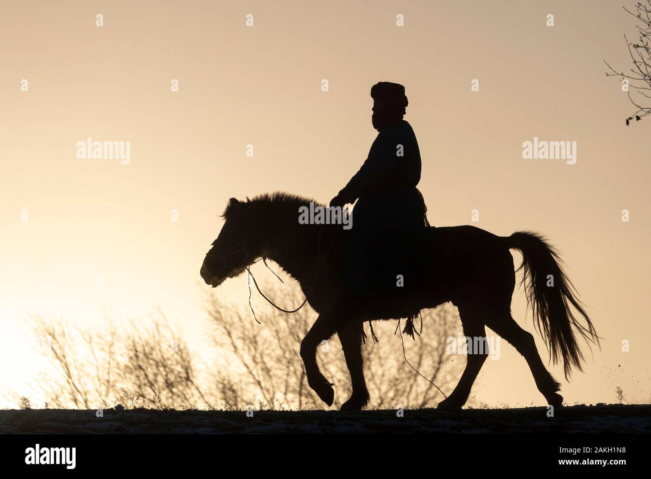 China, Innere Mongolei, Provinz Hebei, Zhangjiakou, Bashang Grünland, eine mongolische Reiter auf einem Pferd in einer Wiese mit Schnee bedeckt, Stockfoto
