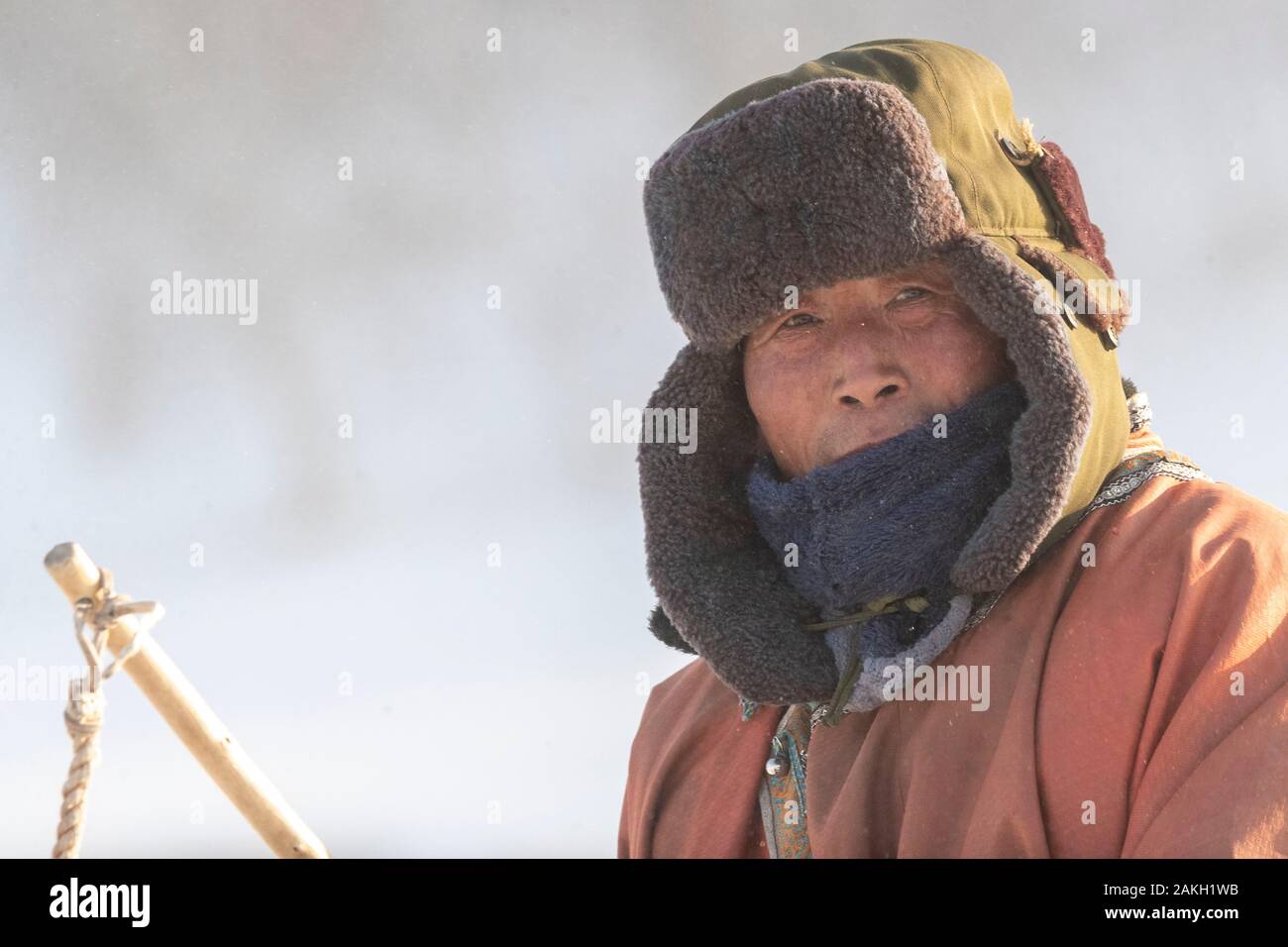 China, Innere Mongolei, Provinz Hebei, Zhangjiakou, Bashang Grasland, Mongolisch Stockfoto