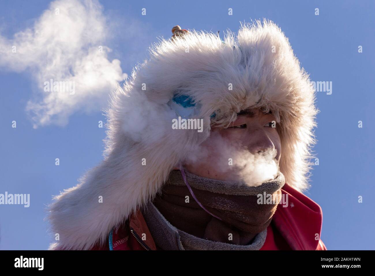 China, Innere Mongolei, Provinz Hebei, Zhangjiakou, Bashang Grasland, Mongolisch Stockfoto