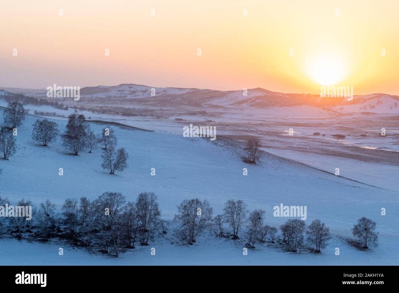 China, Innere Mongolei, Provinz Hebei, Zhangjiakou, Bashang Grasland, Colline Landschaft mit Haustieren Stockfoto
