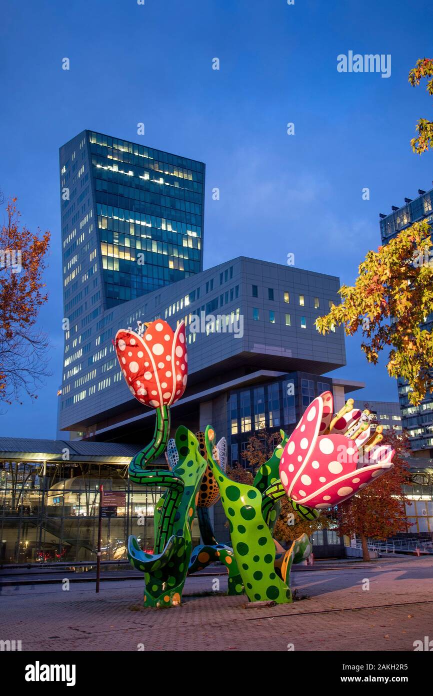 Frankreich Nord, Lille, Euralille Bezirk, Esplanade Francois Mitterrand, Shangri-La Tulpen, permanente Skulptur von Yayoi Kusama Stockfoto