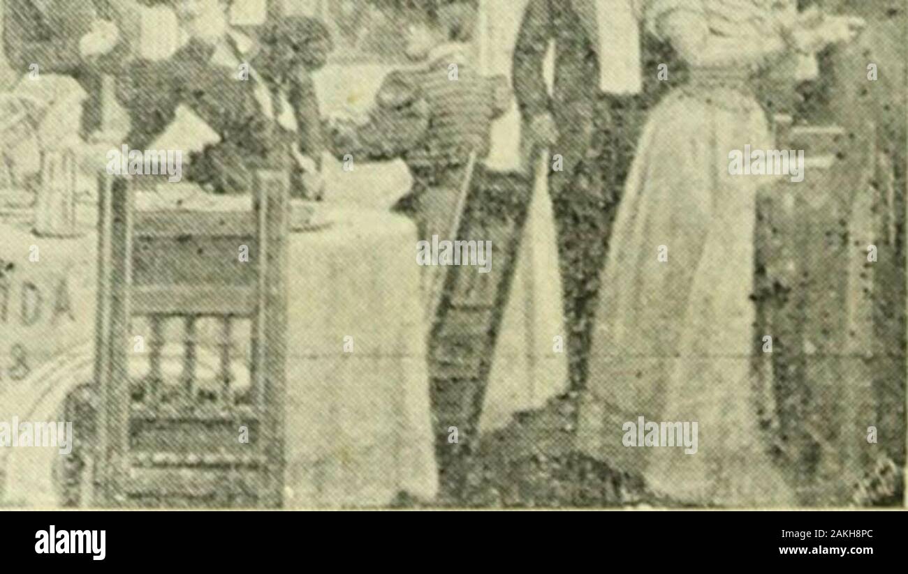 La Mujer. ^0. Loción Higiénica de Eucaliptus DK RUIZ & ROCA. Proveedores de S.M. Ia ¡ Í vendo Por mayor auf Todas las Casas Intro - ductoras de porfiimoría y,registros, y en Las pormenor tóelas ybazares pelutiuerías. Farmacias de la Koiuiblica y Montevideo. Pedir siempre EUCALIPTUS de Ruiz & ROCA Doscontiar de las imitaciones Que Nunca pro-ducen Los mismos resultados que la especia-lidad leirítima. 1. Stockfoto