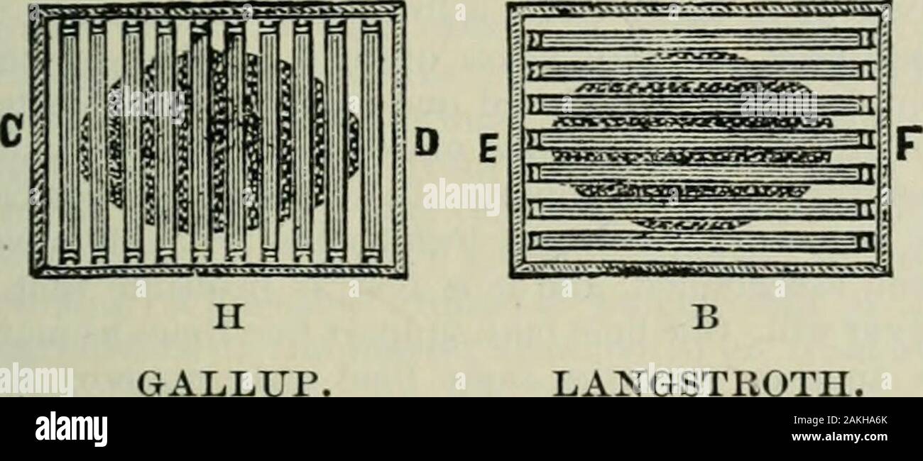 Das ABC der Biene Kultur: ein cyclopedia von jede Sache, die in Bezug auf die Pflege der Honig-Biene, Bienen, Honig, Nesselsucht, Arbeitsgeräte, Honig-Anlagen usw., Tatsachen von der Erfahrung von Tausenden von Imker alle über unser Land und später durch die praktische Arbeit in unserer eigenen Imkerei überprüft. Wenn ich kann beexcused Für so viel sagen. Wenn Sie ex-amine Bienen am Ansatz der frostigen weath - äh, Sie werden sehen, von der Art und Weise, wie Sie Kern. 205 Kern. Erarbeiten und kondensieren, wie ihre combsneed zu dosieren. Zu themstand den Strapazen des strengen Winters haben, sollten sie ihren Bienenstock füllen als n Stockfoto