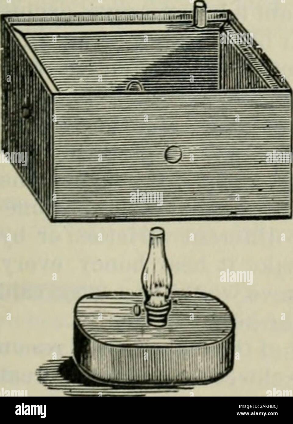 Das ABC der Biene Kultur: ein cyclopedia von jede Sache, die in Bezug auf die Pflege der Honig-Biene, Bienen, Honig, Nesselsucht, Arbeitsgeräte, Honig-Anlagen usw., Tatsachen von der Erfahrung von Tausenden von Imker alle über unser Land und später durch die praktische Arbeit in unserer eigenen Imkerei überprüft. tohatch bereit, die Königinnen werden manchmal outjust sowie nagen, wenn sie mit den Bienen waren. Es ist auch bekannt, dass die Queens nur emergingfrom die Zelle kann generell tocrawl unter die Bienen eines Bienenstocks erlaubt sein, und in der Regel gut angenommen. Der Vorteil dieser beiden Tatsachen, unser Nachbar, Herr F. R. in der Sha Stockfoto