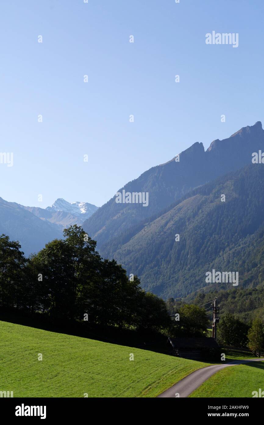 Ein Feldweg in Fuschtal (die Fuscher Tal) in der Nähe von Zell am See, Österreich. Die Hänge des Tals Berge sind stark von Tannen bewaldet. Stockfoto