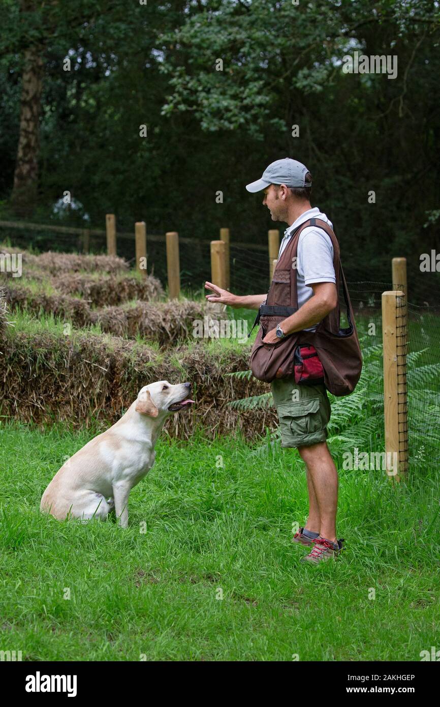 Waffenhundetrainer mit Labrador trainiert Arbeitshund Stockfoto