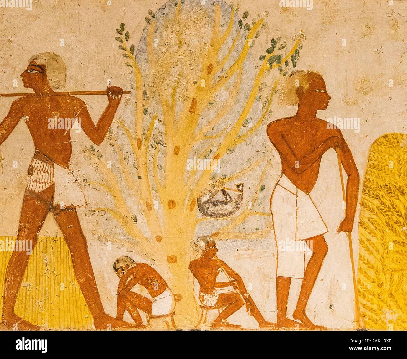 Luxor in Ägypten, Tal der Nobles, Grab von Menna. Landwirtschaftliche Szene, ein Baum, an dem ein Feinschmecker aufgehängt ist, ein Pfifferling und ein Schläfer. Stockfoto