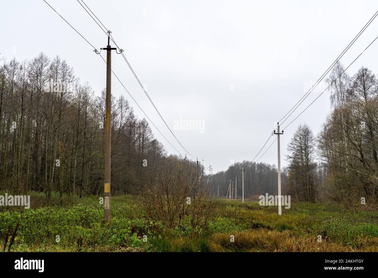 Stromleitungen in der Herbstwiese in Gomel Weißrussland Stockfoto