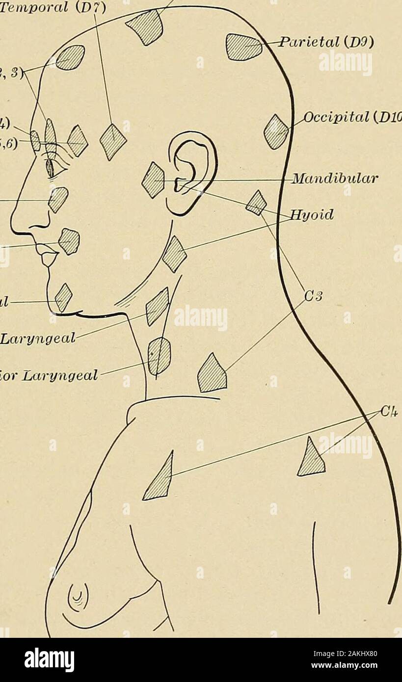 Erkrankungen des Nervensystems: ein Lehrbuch der Neurologie und ...