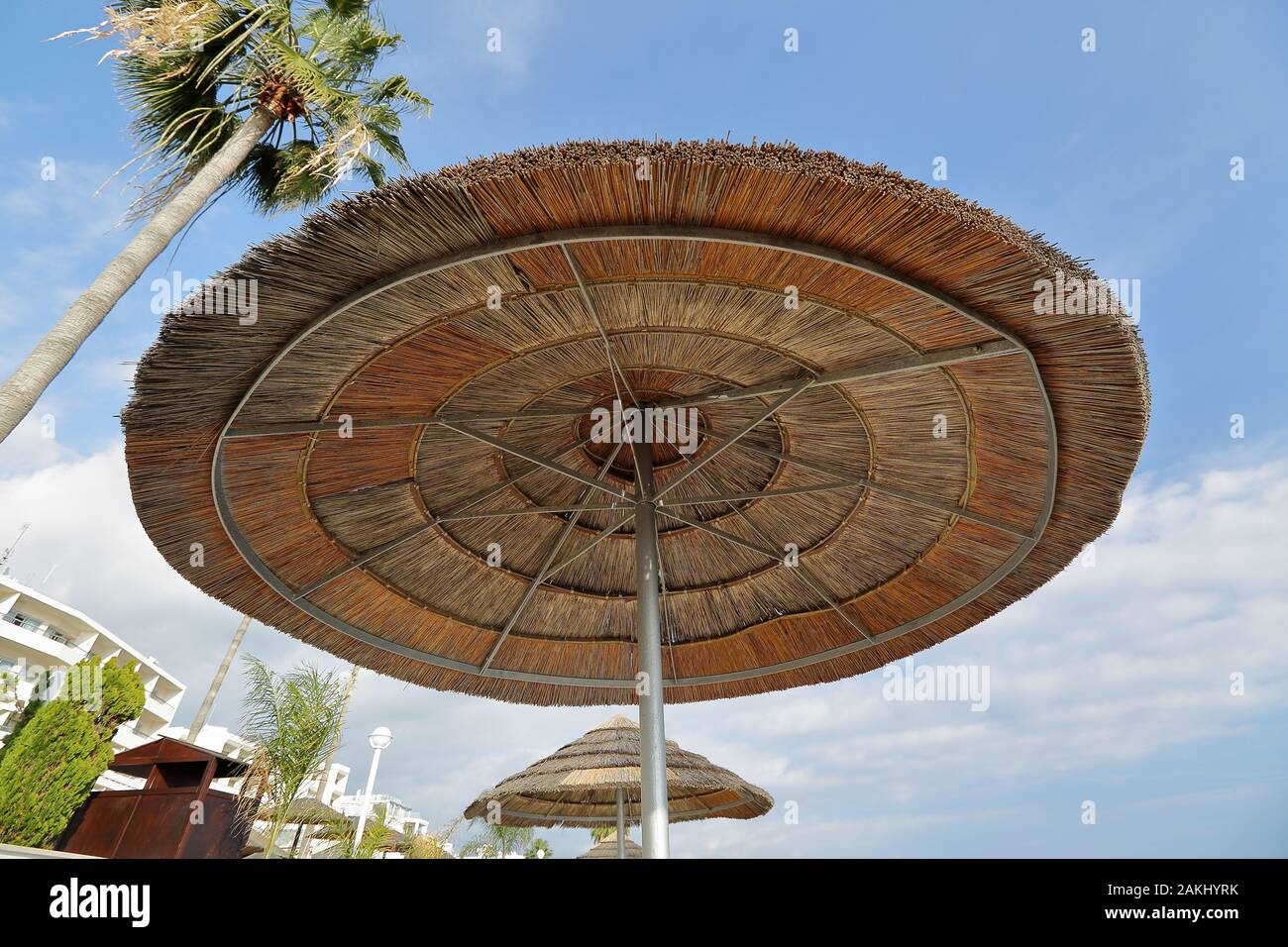 Schilfschirm von unten gegen blauen sonnigen Himmel gesehen, beliebter Ferienort in Zypern. Stockfoto