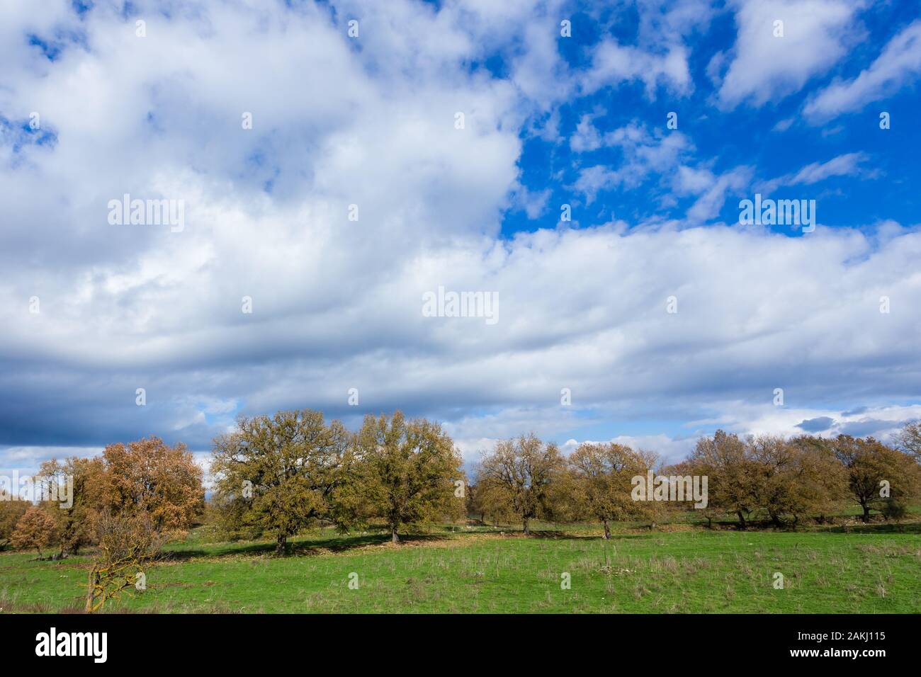 Wunderschöne Landschaft Felder in der Nähe von Megalopolis, Arcadia Griechenland Stockfoto
