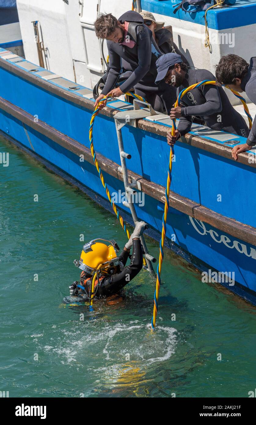 Hermanus, Western Cape, Südafrika. Professionelle Taucher Ausbildung, Studenten unterwasser Arbeiten vom Boot aus am Neuen Hafen in Hermanus. Stockfoto