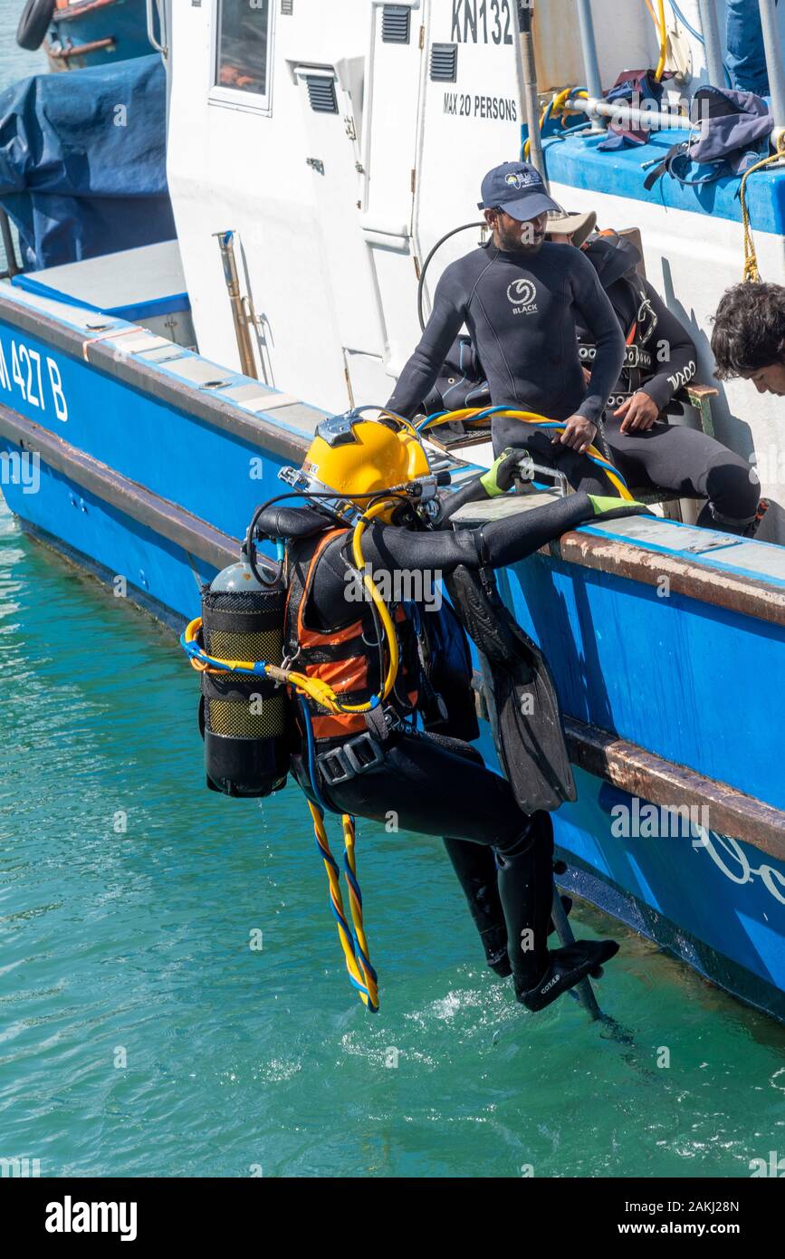 Hermanus, Western Cape, Südafrika. Dezember 2019. Professionelle Taucher Ausbildung, Studenten, die von einem Boot am Neuen Hafen in Hermanus. Stockfoto