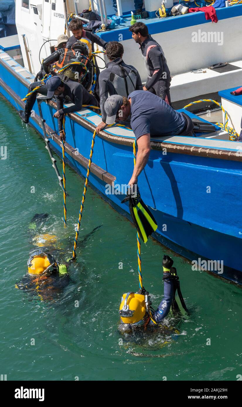 Hermanus, Western Cape, Südafrika. Professionelle Taucher Ausbildung, Studenten unterwasser Arbeiten vom Boot aus am Neuen Hafen in Hermanus. Stockfoto