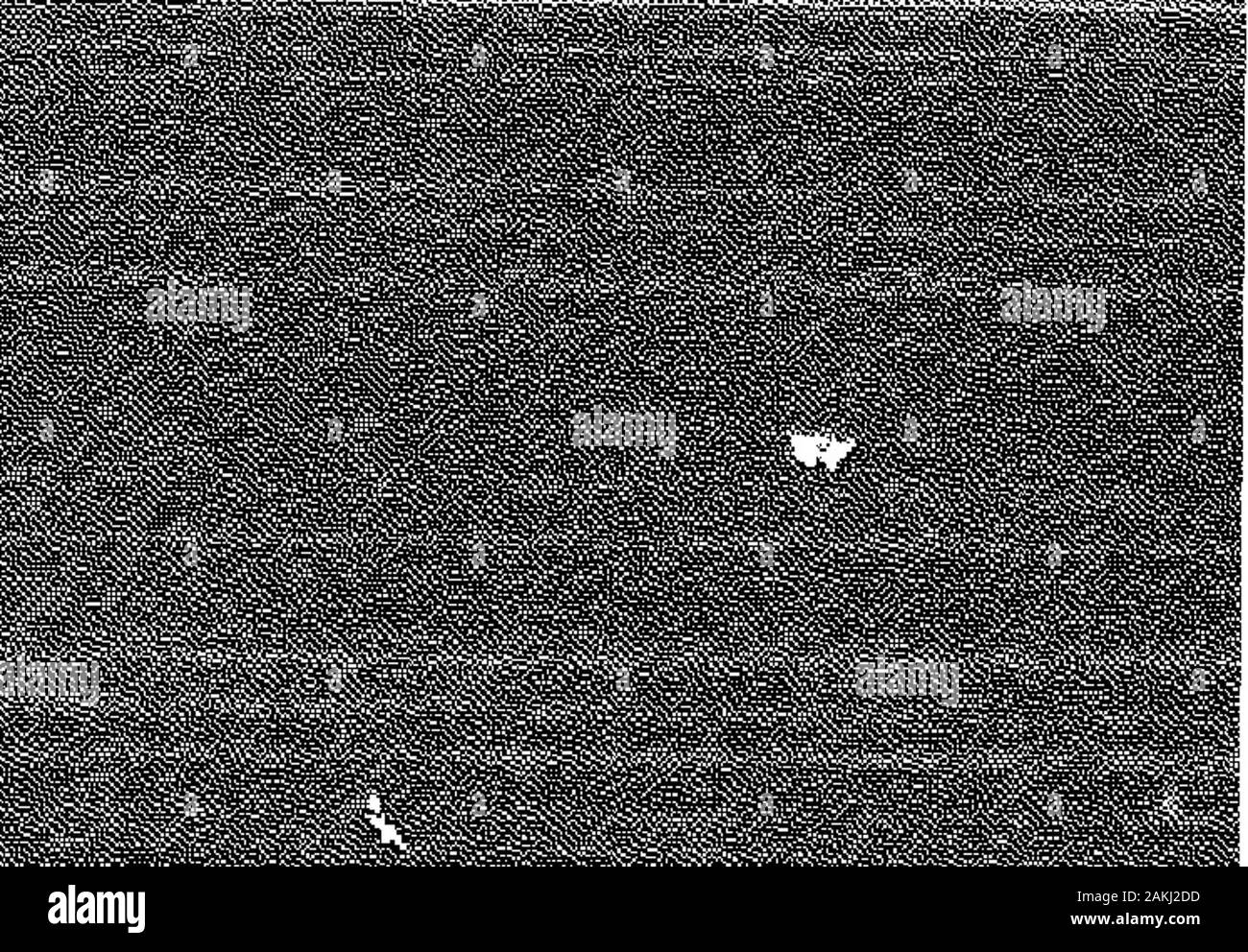 Der Schlachtruf. Licht zögern und der Offizier Grabungen in der Tasche. Der Fahrpreis beträgt 528.85, Ive erhielt? 18.0 Orent Geld. An Stelledie hoffentlich Officer, weiß Ho ist Denken thathis Miete Geld im Safe liegt, und was würde passieren, wenn er riss intoit mit der Frau kommen Smith aussieht. Das ist alles, was ich habe, tho Officerstates. Einige schnell denken, dann ein suddendecision, Kranke stellen Sie die Balance zwischen $ 9.04 und $ 3.00 für Mahlzeiten aus therent monoy für die Reise, Smithstates. Oh! Sie Mustnt das Tun, ein voicesobs. Egal, therejoinder littlo Dame, war. Und als das Geld frei passedhands, Tränen flossen. Die offic Stockfoto