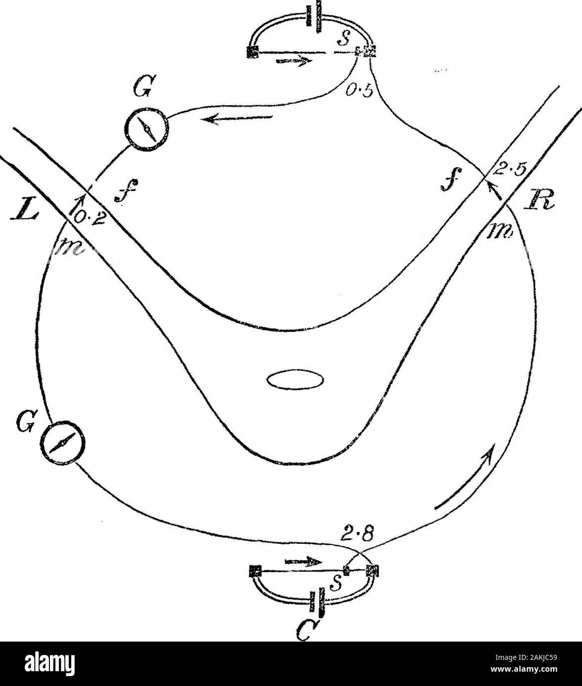 Auf der elektromotorischen Eigenschaften des Blattes von dionaea im Angeregten und unaufgeregte StatesSecond Papier. und die Variation besteht einfach aus den primären | Ausflug mit seinen j Vorläufer, wie in Foto 13. * Diese Pausen im Vergleich kann mit dem fotografischen Aufzeichnungen ähnlich Der diphasicexcitatory Wirkung im Ventrikel des Herzens der Frosch oder Schildkröte (siehe Amtsblatt der Physiologie, Loo. A.a.o. 9 Platten 1 und 3) erreicht werden. Die Bedingungen für die Beobachtung entsprechen, und die Auswirkungen sind in Harmonie witheach andere. MDCCCLXXXVIII.-B. 3 L 442 Professor J. B. SAFDERSON OK die elektromotorische Ad Stockfoto