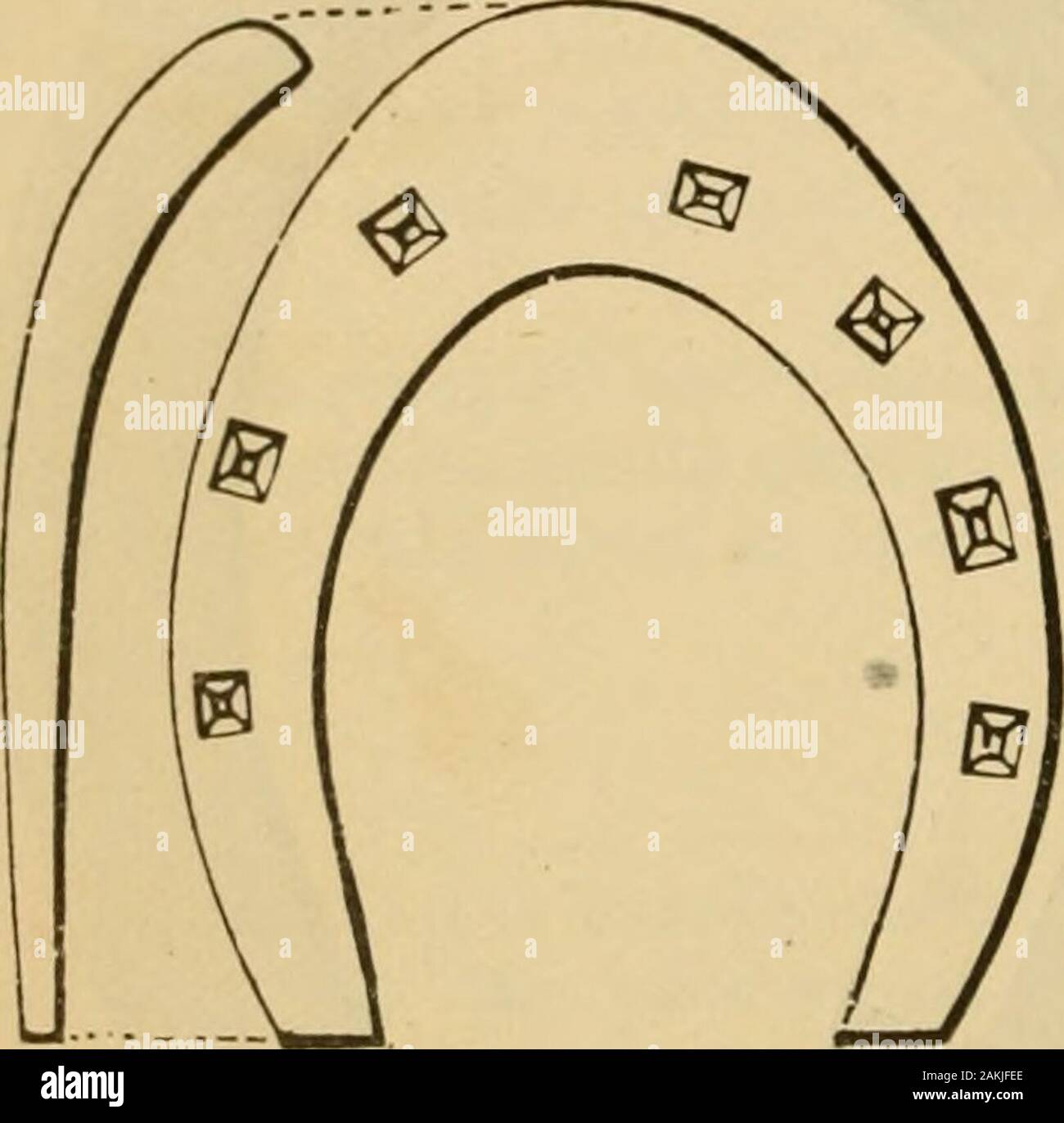 Die Kunst der Zähmung und Erziehung das Pferd: mit Details des Managements bei der Unterwerfung der über vierzig Vertreter bösartige Pferde, und die Geschichte der persönlichen Erfahrung des Autors: Zusammen mit Kapiteln über Fütterung, Einstallung, beschlagen, und die praktische Behandlung für die Krankheit, Lahmheit, etc.: mit einer großen Anzahl von Rezepten. Abb. 554.- Form der Schuh für coveringa schwach, dünne Sohle. 710 BESCHLAG.. Abb. 555.- für ein rückfußes bei der Unterstützung von Mobilität angepasst. nageln Slices auf solche Füße, nicht mit einem Schraubenschlüssel oder einem Hammer die footheavily. Im Winter, wenn calks verwendet werden muss, lassen Sie Sie werden arrangedsomething wie Abb. 553; Stockfoto
