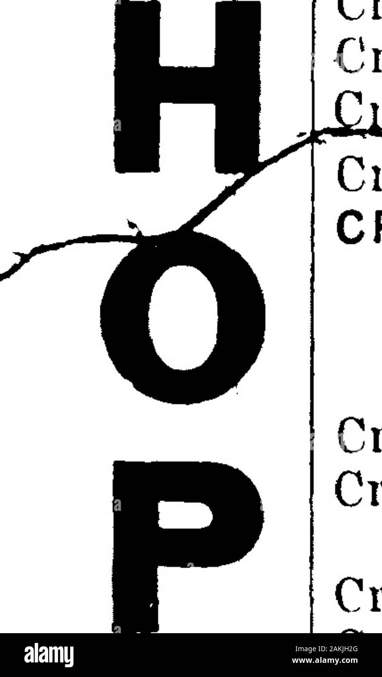 1921 Des Moines und Polk County, Iowa, Stadt Verzeichnis. 6Th Ave, andLocust MusicDancing C. su EY Amerikanische und chinesische Gerichte die Anleihe und MortgageCo. von Iowa Geld ausleihen auf des MoinesResidences 206 VaUey Natl Bank Gebäude Crisman Siehe auch Chrisman Crisman Beatrice elk Banker Lifebds 1041 Gth avCrisman Dorothy student CAPITAL CITY COMMERCIAL COLLEGE bds 1314 26 thCrisman E^ na N elk la Loan & Trust Co bds 1041 6 avCrisman Edwd C Einkaufsmöglichkeit 501 8d-res 627 sameCrisp Earl U mach D M UniversityCrispin Albt jM Karpfen res 3305 Ovid avCrispin Arthur h res 910 Grove Ispin Chas B contr 1346 33 d Crispin Ch Stockfoto