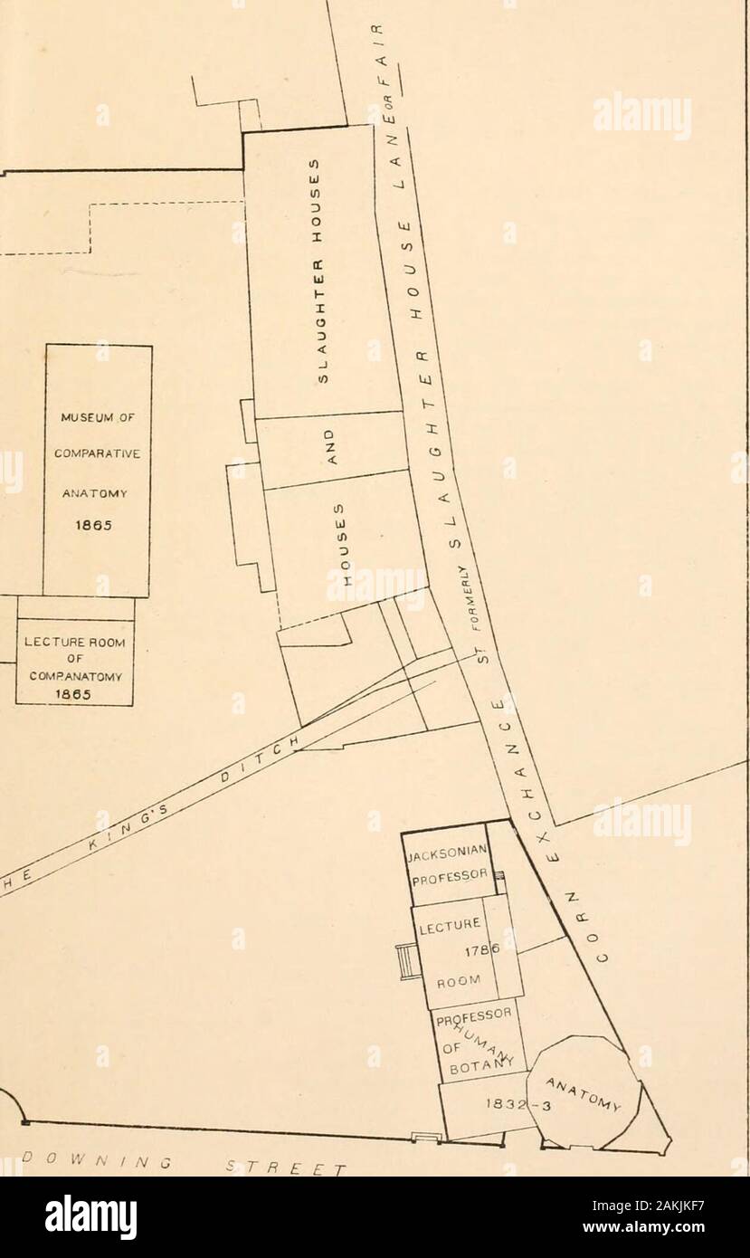 'J' eine Abhandlung von John Willis, registrary Clark von der Universität Cambridge und Fellow des Trinity College. T-r das MUS &Lt;-4. O O W A/J MS 1873 INDEX A.D. C., 93, 102; J. gewählten Schatzmeister, 130; seine Arbeit für, 130, 131; writesplays Für, 238-241; Anekdoten ofJ.at, 239-240; 255 Abernethy, Johannes 2 Abney, Sir William, 182 Academy, der, 127 Ackermann, E., 300 Handlungen und Opponencies, 39 Addenbrookes Hospital, 19 Adrienne Lecouvreur, 105 Affleck, Dame, ist Agamemnon, 138 Agassiz, Louis, 105, 275 in der Landwirtschaft und in der Fischerei, Vorstand, 338, 339, Landwirtschaft, Schule, in Cambridge, 337-34 Stockfoto