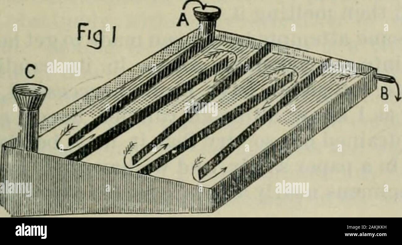 Das ABC der Biene Kultur: ein cyclopedia von jede Sache, die in Bezug auf die Pflege der Honig-Biene, Bienen, Honig, Nesselsucht, Arbeitsgeräte, Honig-Anlagen usw., Tatsachen von der Erfahrung von Tausenden von Imker alle über unser Land und später durch die praktische Arbeit in unserer eigenen Imkerei überprüft. unter CandiedHoney, der solide Teil ted kann geschmolzen werden, und es wird sehr knapp, im Bienenstock gereift. Der reife Honig durch künstliche Mittel. Bei mehreren verschiedenen Perioden, machineshave zum Ausdunsten thinhoney ohne die Hilfe der Bienen vorgeschlagen worden. Die ad-vantage noch dabei ist Stockfoto