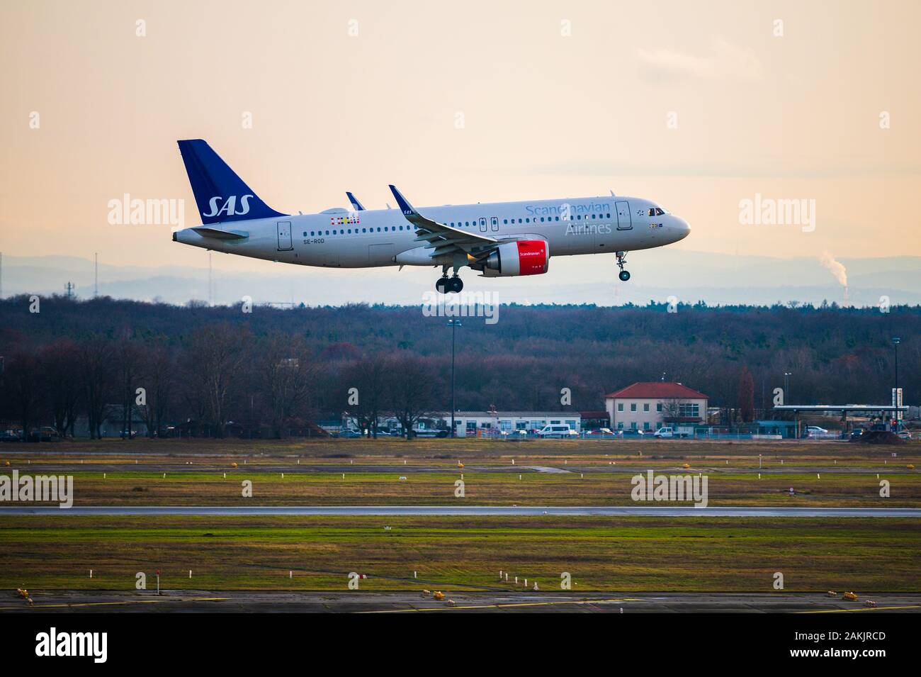 Die skandinavische SAS-Airline Airbus A320 kommt bei Sonnenuntergang auf dem Frankfurter Flughafen in Deutschland an Stockfoto