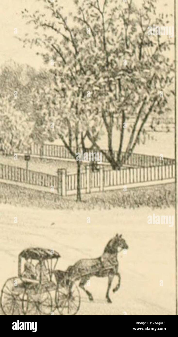Geschichte Das Franklin und Clinton County, Michigan. -&Gt;;;;;;;; &Lt;^% Ich. /VorfL PaoiEHry von GEO. R DOTY, Elsie, Mich DUPLAIN TOWNSHIP. 435 mit einem einzigen Pferd und Buggy, Es suflScing zu tragen ihre weltlichen Auswirkungen themand. Keine permanente Lage war madeby, aber sie verändert ihre Lage als seine occupationof Cooper erforderlich. 1853 erhielt er die Ernennung oflight-Hausverwalter bei Mama Judec am Detroit River; thisproved die Festlegung einer Grundlage für zukünftigen Erfolg. Foreight Jahren fuhr er fort, seine Frau, die Übernahme des Amtes ofkeeper, er eine Anstellung an der coopers Handel. 1861 M Stockfoto
