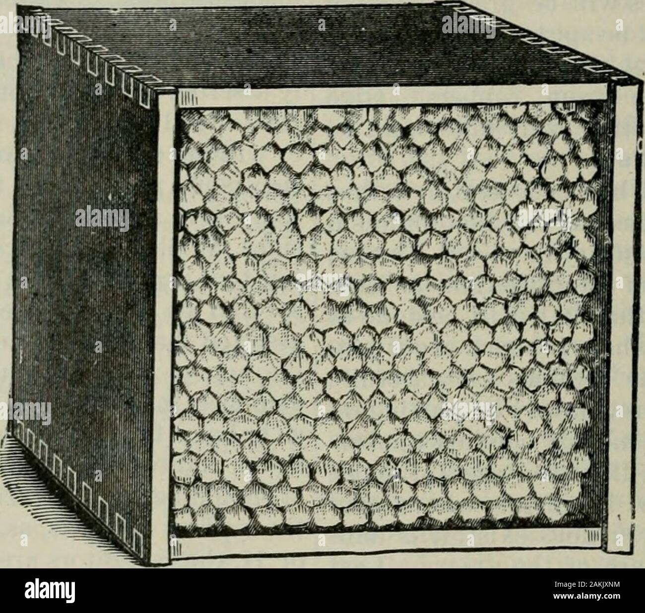 Das ABC der Biene Kultur: ein cyclopedia von jede Sache, die in Bezug auf die Pflege der Honig-Biene, Bienen, Honig, Nesselsucht, Arbeitsgeräte, Honig-Anlagen usw., Tatsachen von der Erfahrung von Tausenden von Imker alle über unser Land und später durch die praktische Arbeit in unserer eigenen Imkerei überprüft. Bienen, wie ihre Besitzer, haben eine Tendenz, die Kämme zu bulgewithout tlie Einsatz von Separatoren verantwortlich sind. Ofsections tliis Zeile wurde von mehreren thousandpounds von Honig, die wir Pin-gejagt, der overhalf wliich Bauchigen war, und ein lirge]) er-Centage war fast micratable. Holz oder Zinn SEPAKATOKS. Einwände hat Stockfoto