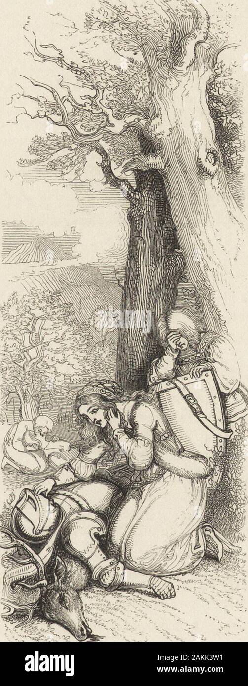 Das Buch der britischen Balladen. Instellung der Sunne; denn wenn Sie rung am Abend - Bell, der battel knapper war getan. Mit stout Erie Percy, es gab slaine Sir John von Egerton, Sir Robert Ratcliff, und Sir John, Sir James, dass Fett barrdn. Und mit Sir George und stout Sir James, beide Ritter von gut, gute Sir Ralph Raby war slaine, deren prowesse nicht überwinden. Für Witherington mein Herz weh, dass er jemals slaine soll sein: Wenn seine Beine gehauen in twoHe kniete und kämpfte auf seinem Knie.* Und mit Erie Douglas, es war Sir Hugh Mountgomery slaine, Sir Charles Murray, dass von t Stockfoto