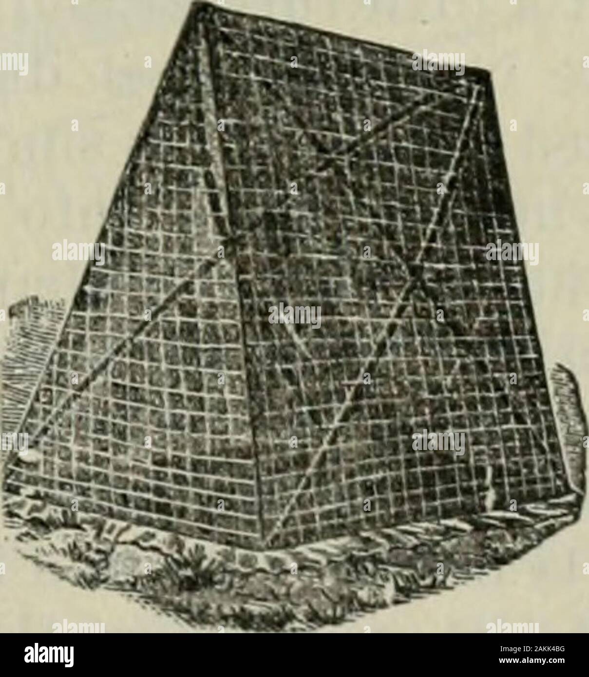 Das ABC der Biene Kultur: ein cyclopedia von jede Sache, die in Bezug auf die Pflege der Honig-Biene, Bienen, Honig, Nesselsucht, Arbeitsgeräte, Honig-Anlagen usw., Tatsachen von der Erfahrung von Tausenden von Imker alle über unser Land und später durch die praktische Arbeit in unserer eigenen Imkerei überprüft. Klappbare IJEE-Zelt. Nachdem Sie so viele Bienen aus der sec-tionen wie möglich tlie Kiste^ oder Kisten, mit den Bienen kleben und Ihnen uponend auf dem Boden. Wenn viele, Stapel, sie anderen oneupon, abwechselnd von der Kreuzung. Xowtake des faltbaren Zelt und platzieren Sie ihn über thecrates. Bevor sie das tun, jedoch Youshould Stockfoto