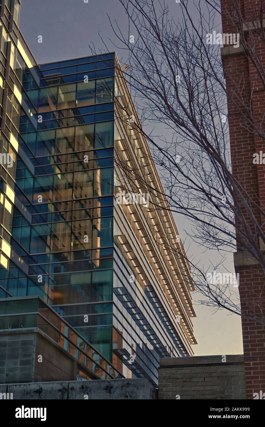 Modernes Gebäude in der Innenstadt von Denver Stockfoto