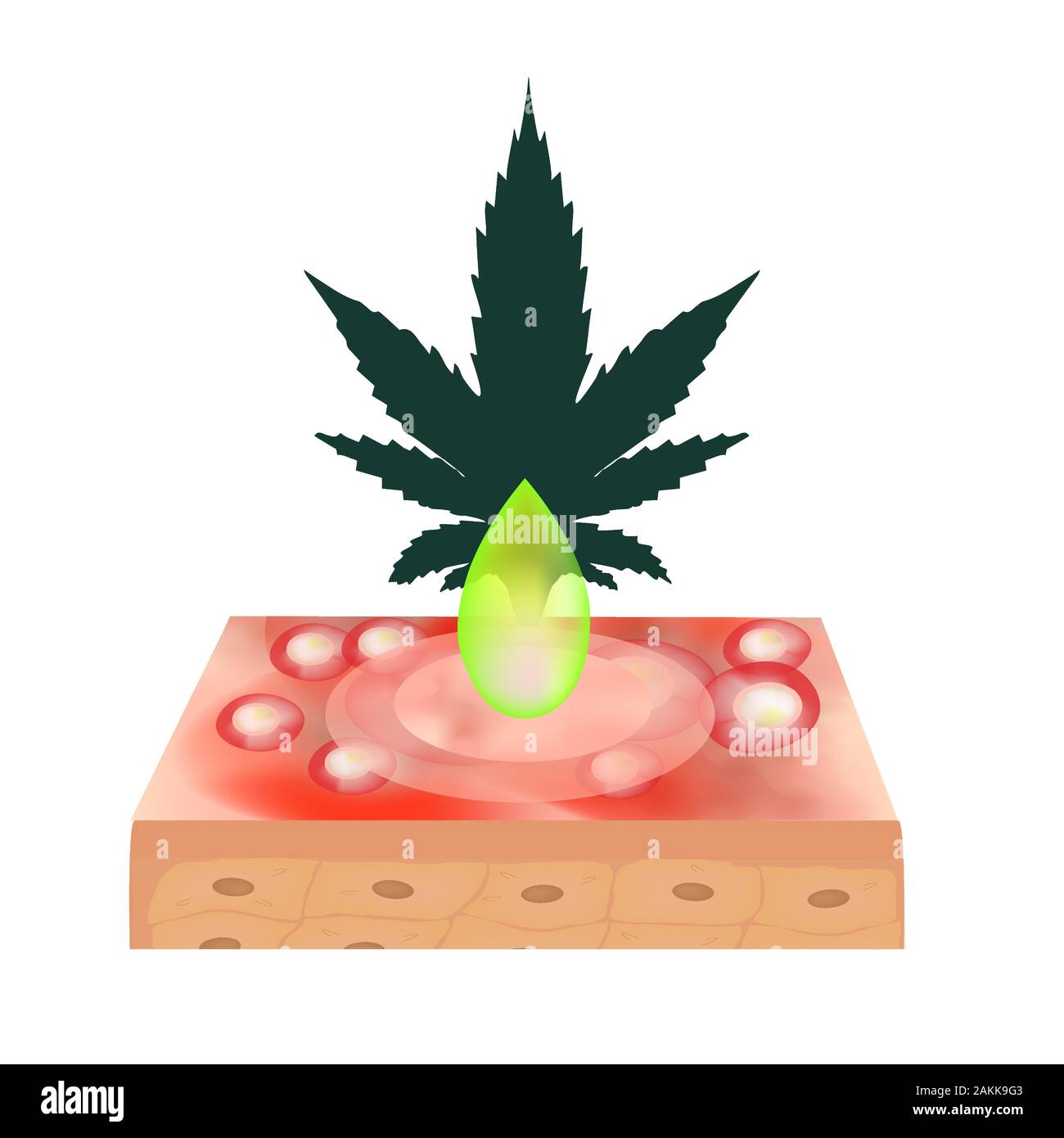 Marihuana Öl in der Kosmetologie. Marihuana Symbole cbd. Cannabinoid-Logo. Marihuana lässt. Hanföl. Infografiken. Vector Illustration auf isolierte Stock Vektor