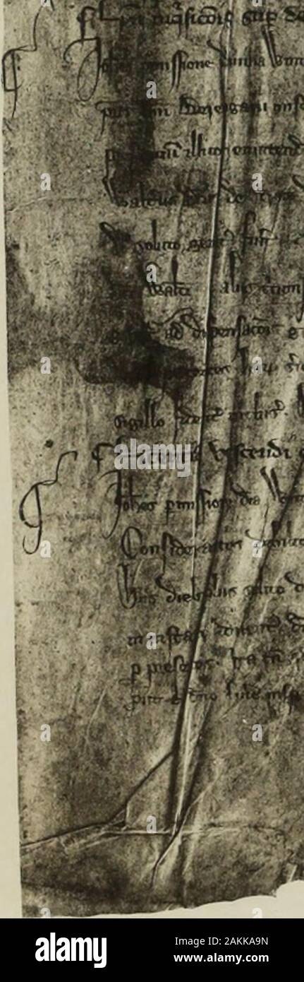 Die Register von John de Sandale und Rigaud de Asserio, Bischöfe von Winchester (A. D 1316-1323): mit einem Anhang von gleichzeitigen und andere erläuternde Dokumente. Stockfoto